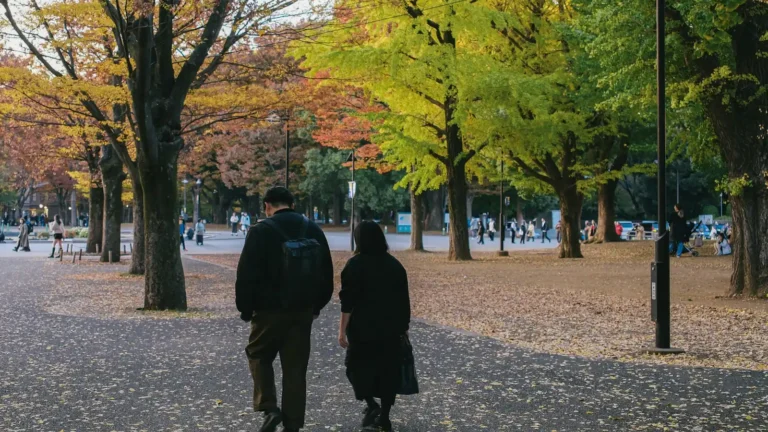 Couple walking together along a tree-lined path in autumn