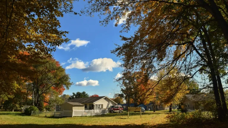 Small house under colorful autumn trees on a sunny day