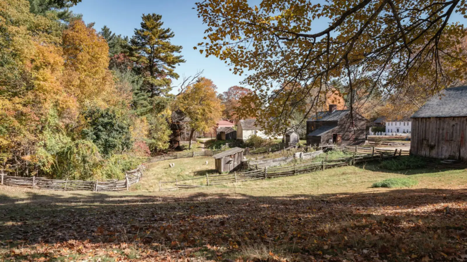 Rural farm buildings and a field surrounded by autumn foliage